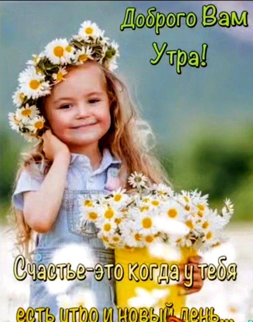 Э г О К О Т 9 в