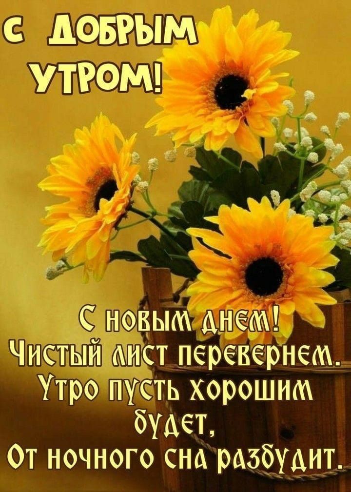 донг ым утром в Р таковым днем чистьст перевернет Утро пусть хорошим будет От ночного сна раобудит