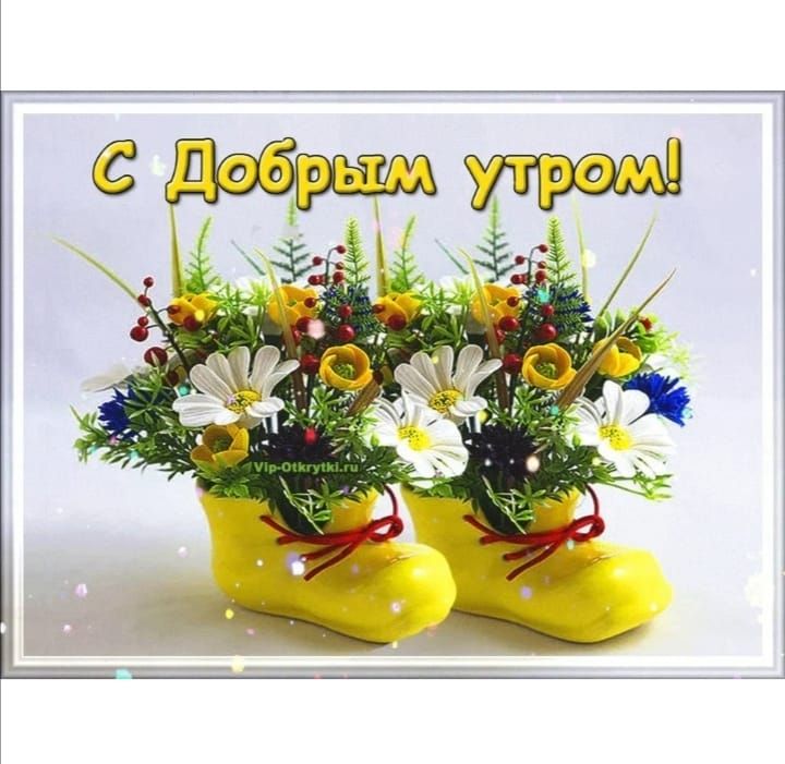 Добрыиа уутрос ч
