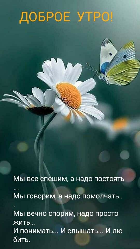 Мы ВСЕ СПЪШИМ а надо ПОСТОЯТЬ МЫ ГОВОРИМ НЕДО ПОМОЛЧЗТЬ Мы вечно спорим надо просто жить И понимать И слышать И лю 1 бить