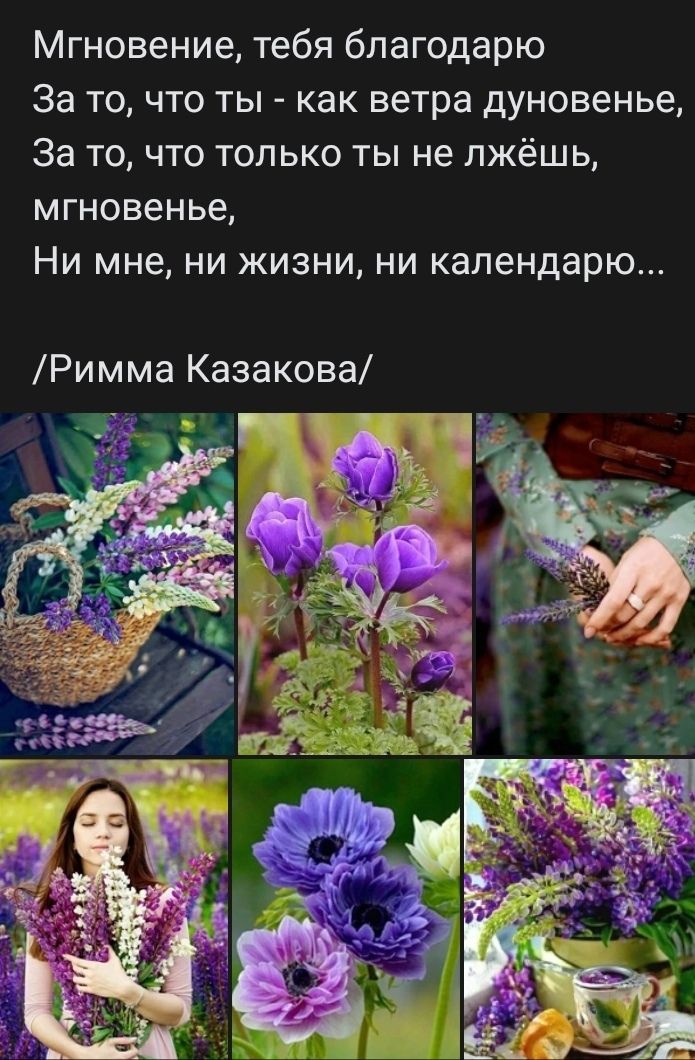 Мгновение тебя благодарю За то что ты как ветра дуновенье За то что только ты не пжёшь мгновенье Ни мне ни жизни ни календарю Римма Казакова