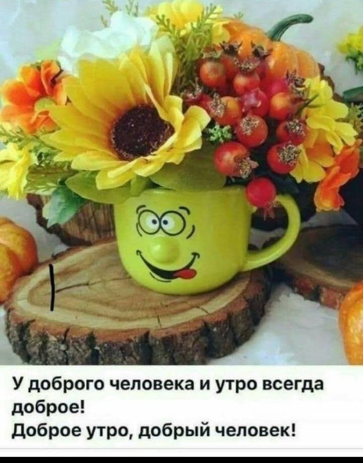 У доброго человека и утро всегда доброе доброе утро добрый человек