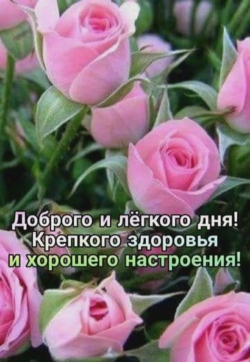 Я его настроения в 0 Р 0 д _3 о 011