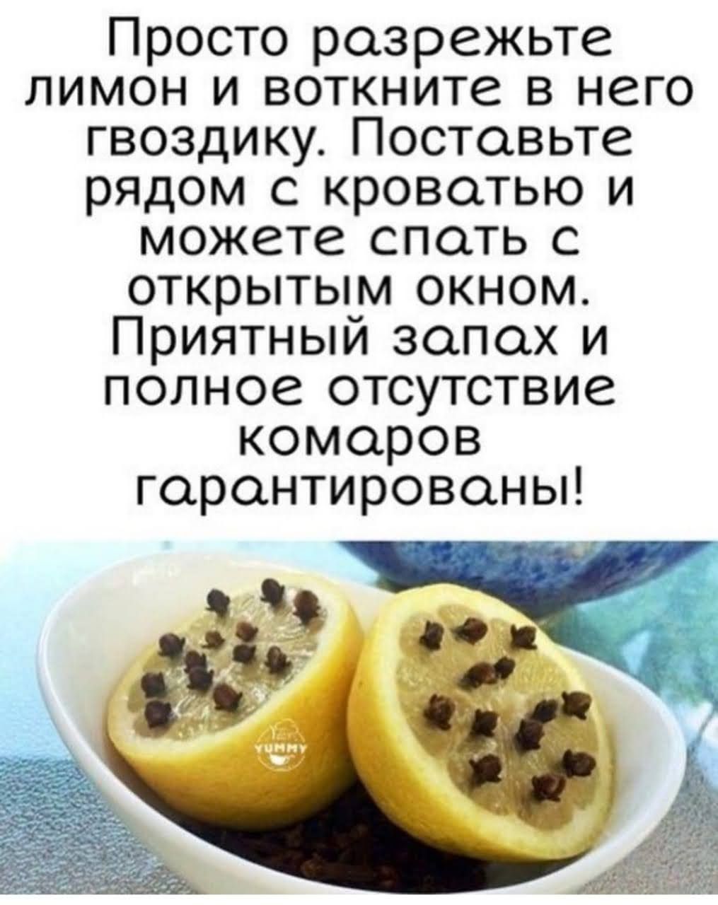 Просто разрежьте лимон и воткните в него гвоздику Поставьте рядом с кроватью и можете спать с открытым окном Приятный запах и полное отсутствие комаров гарантированы 4 0 9
