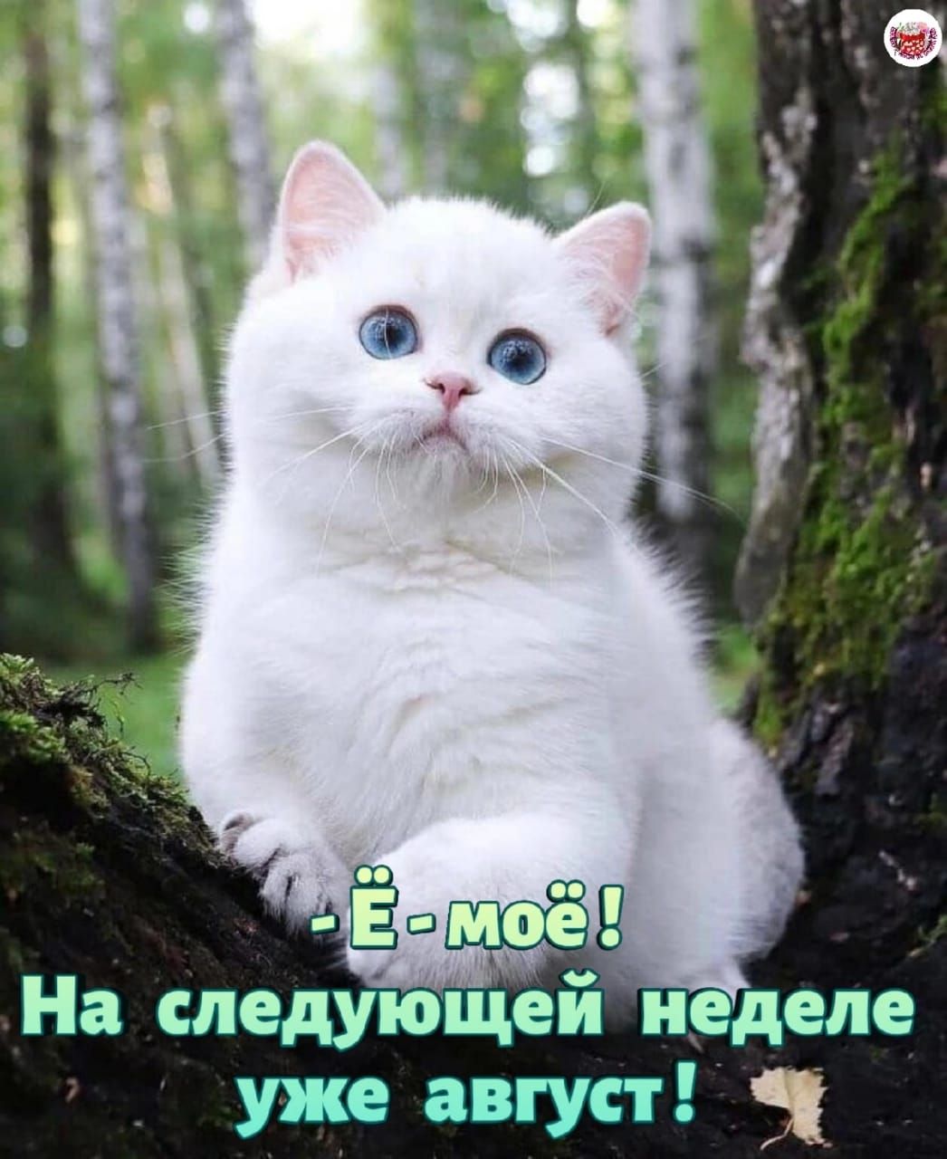 На следующей неделе уже август