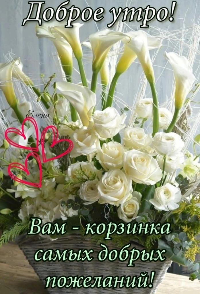 М 1 А Вам корзинка 3 самых добрых і гюжелрщіці