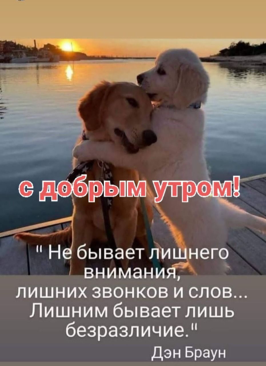 К Не бывает лишнего внимания лишних звонков и слов Лишним бывает лишь безразличие дэн Браун