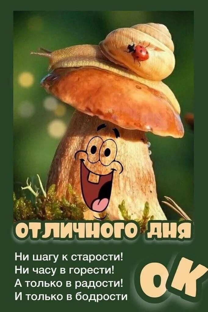 ОТЛИЧНОГО д Ни шагу к старости Ни часу 5 горести А только в радости И только в бодрости