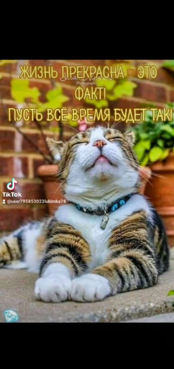 Жизнь ДВЕКРАСНА это ФАКТ _ БОЕ ВРЕ МЯ ТАЙ ПЬ