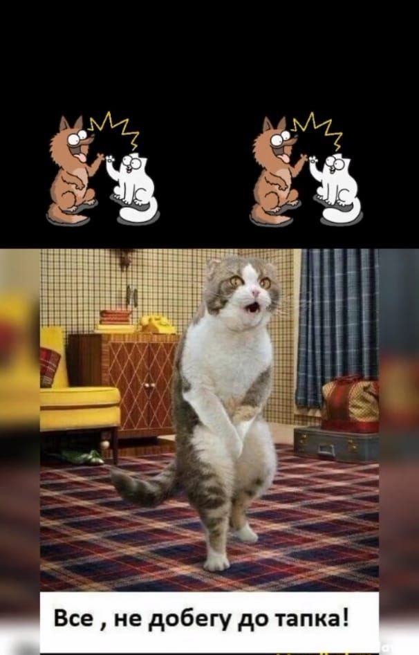 ЁЁ дтіктокш ммм щ
