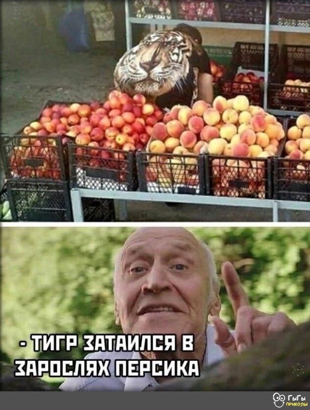 с тмгшптпидщвя непппяхпвпіпикд