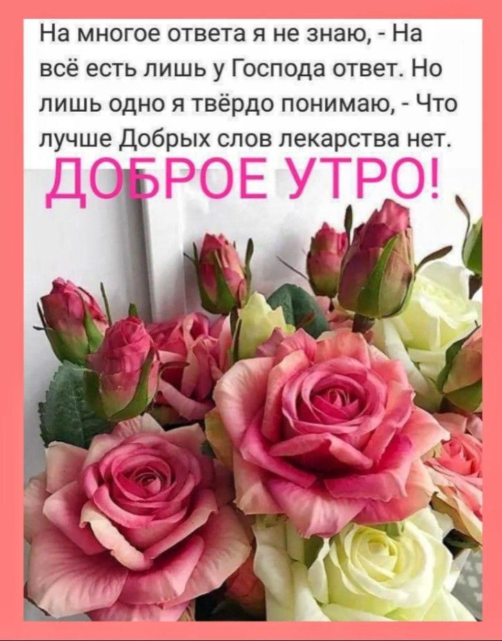 На многое ответа я не знаю На всё есть лишь у Господа ответ Но лишь одно я твёрдо понимаю Что лучше добрых слов лекарства нет