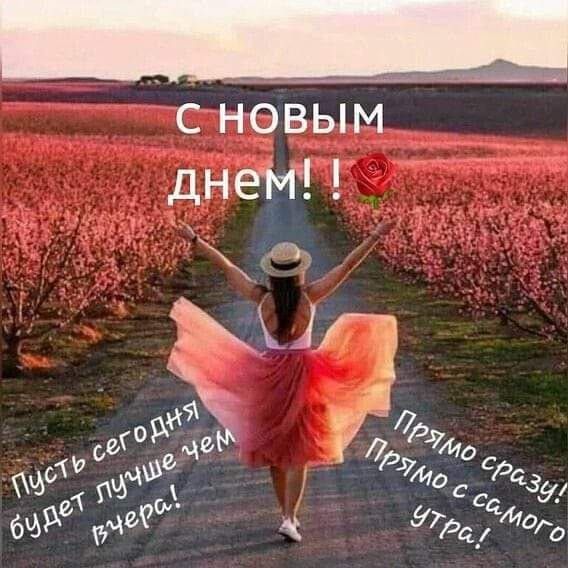 еновым о 72 дса й ЬЧ Эо сс аб уе оИа ь