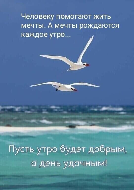 Человеку помогают жить мечты А мечты рождаются каждое утро тсть утро будет добрым 0 день удачным