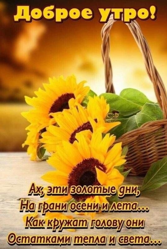 _ котиковани детишками тепла _асвета