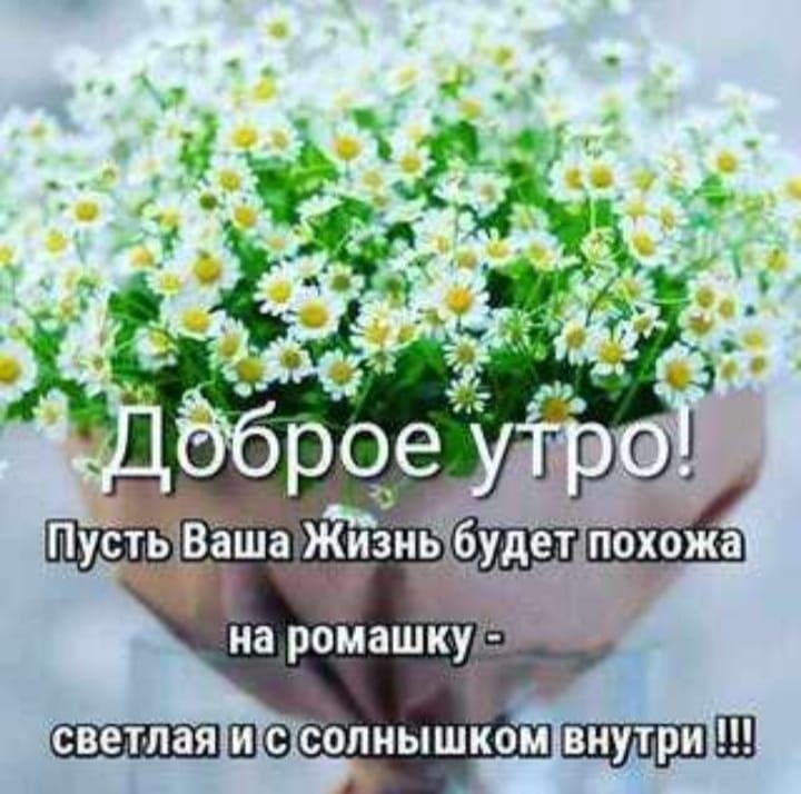 на ромашку ч _пкэсЪпнышком 111