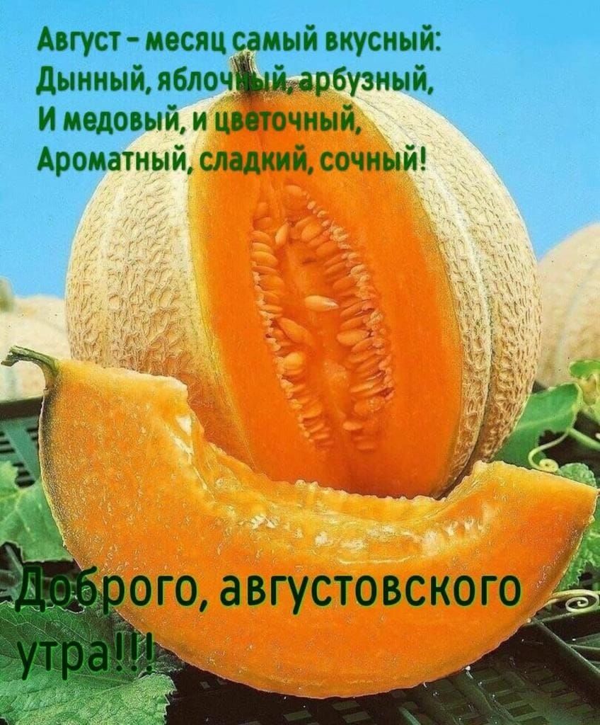 АВГУСУ МОСЯЦ мый ИУСННЙ и медовый Ароиатиый