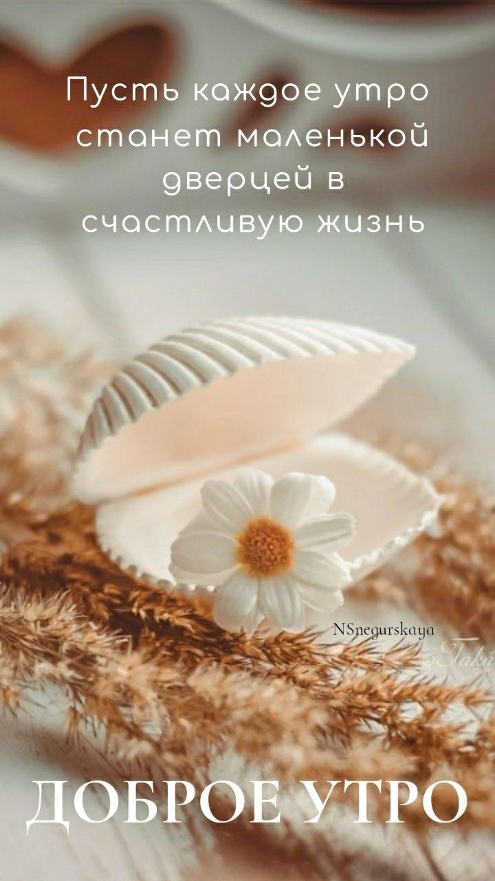 ж 2