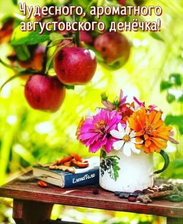 месного арбМату ашгугтойкою де ч _ Ч