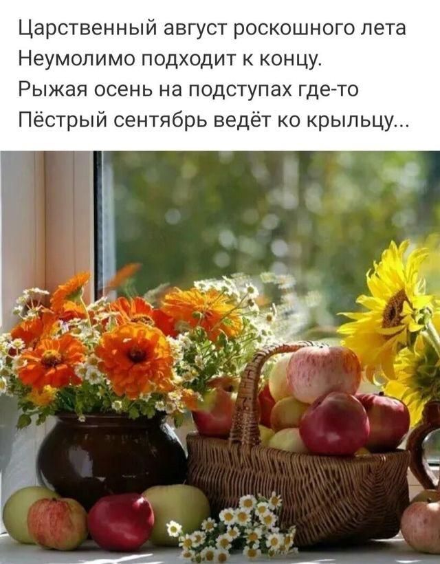 Царственный август роскошного лета Неумопимо подходит к концу Рыжая осень на подступах гдегто Пёстрый сентябрь ведет ко крыльцу