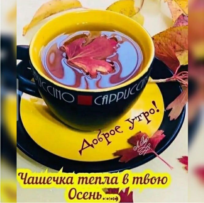 Чшис ша тепла тбою ОсшьгЁЗ