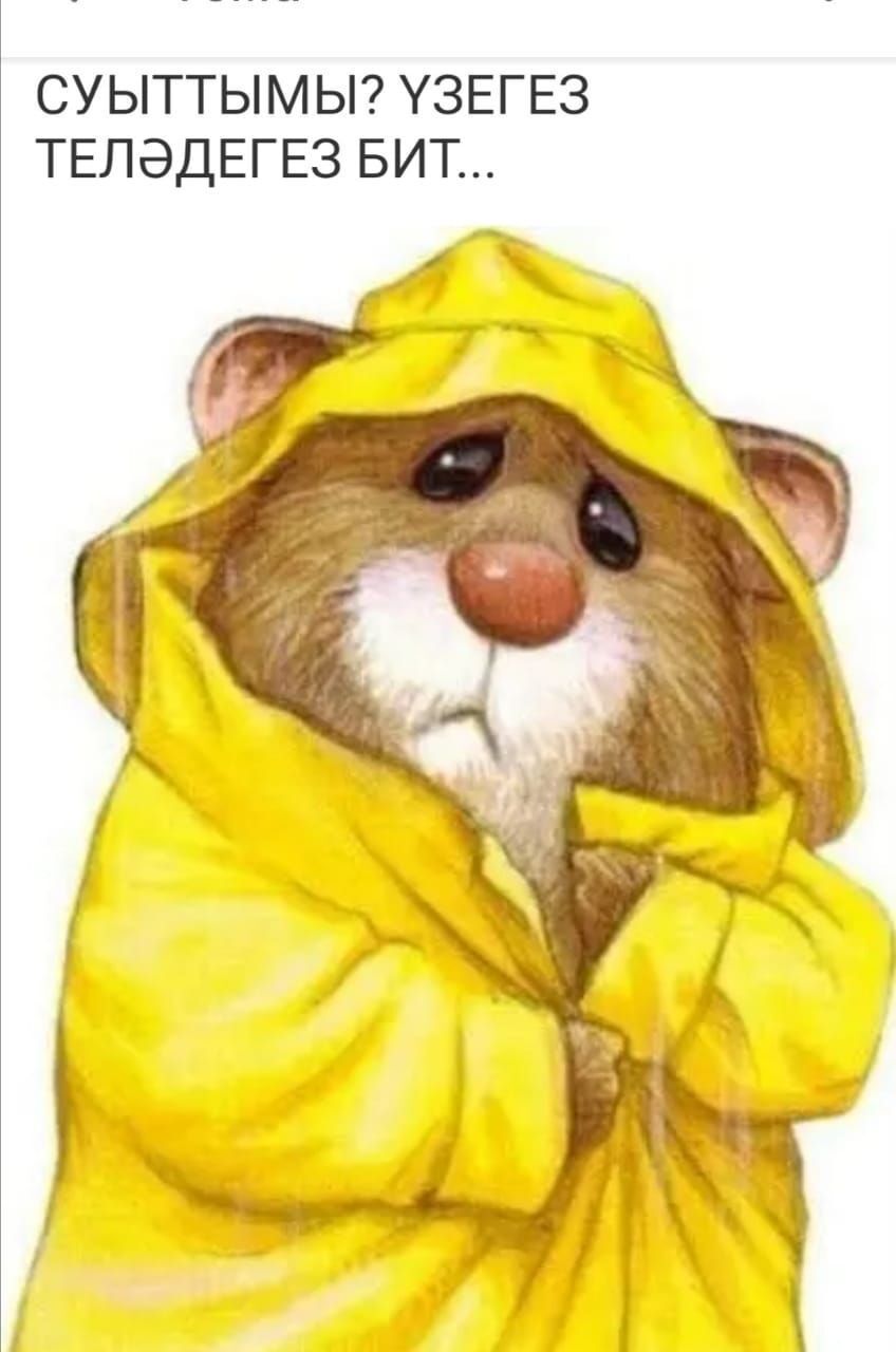 СУЫТТЫМЫ УЗЕГЕЗ ТЕПЭДЕГЕЗ БИТ