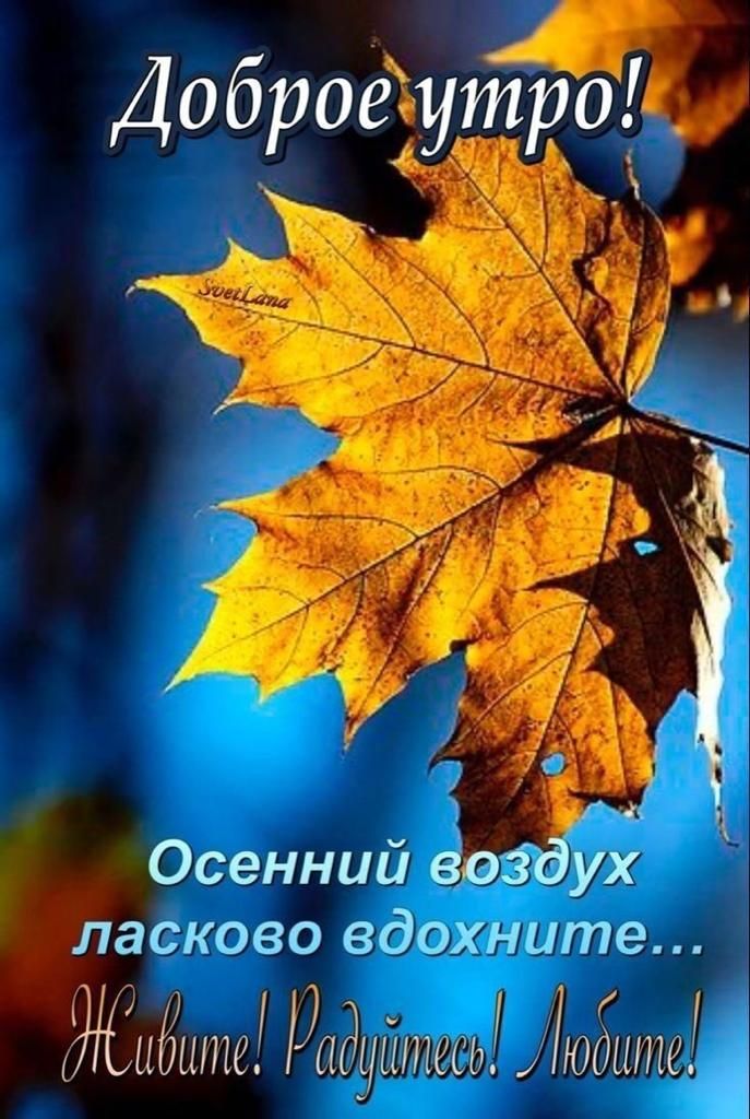 ДоброеЖу Осенний воз ух Баскова вдохните 1 я 1 ЖПЬЦПМ рад КЮШПС