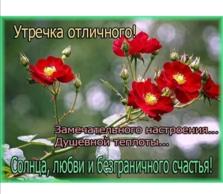 Утречка отпичноге _