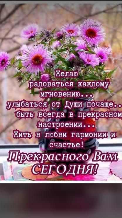 назстроении в любви гармонии и счастье Шіреюрасного Вам _ ств ОДНЯ