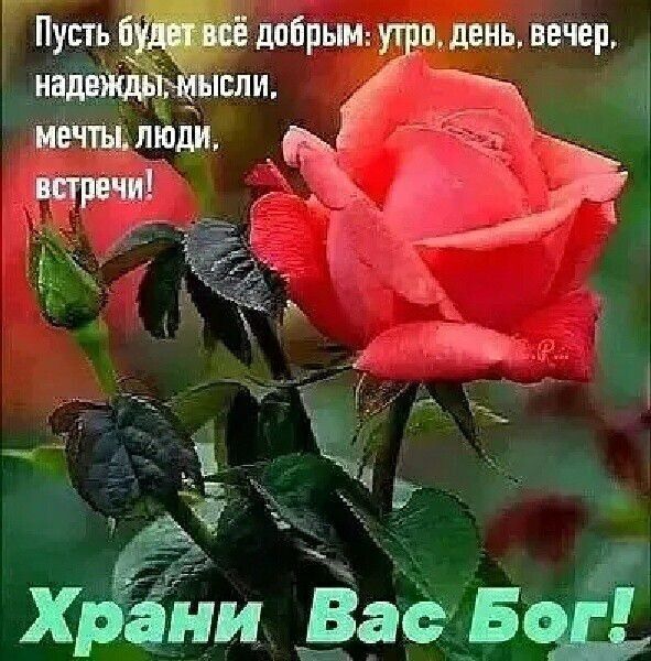 Пусть допрьм в день вечер ЧТЫЛШШ