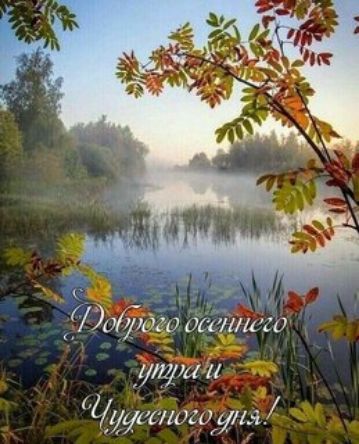 оидеи о или и ___ умш Я 1174171014 улъ