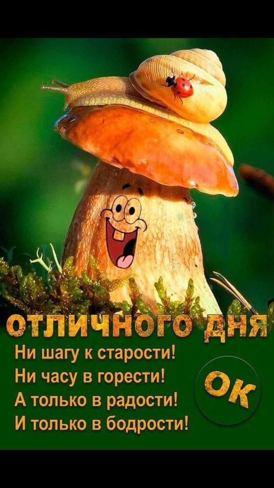 ю Ь ь Ни шагу к старости Ни часу 3 горести А только в радости И только в бодрости