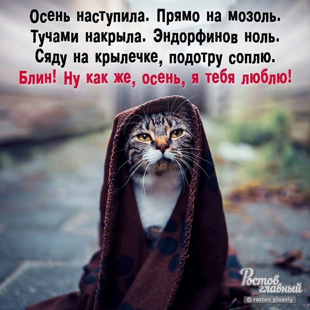 Осенъ настУпила Прямо на мозоль Тучами накрыла Эндорфииов иопь Сяду на крылечке подотру соппю Блин ну как же всем я тебя люблю А _