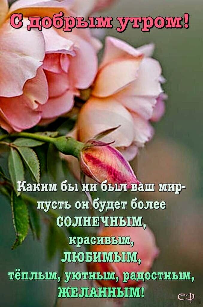 Ёим бы ни был Еаш мир пусть он будет более ООЛНЕЧНЫ М краснвё ЛЮБИШЬ тёплым уютным радостным жшцнныш