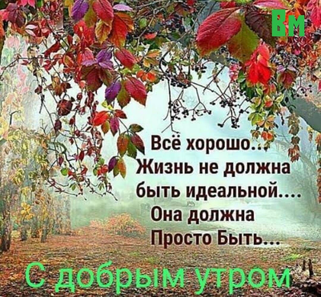 Жизнь не должна быть идеальной Она должна