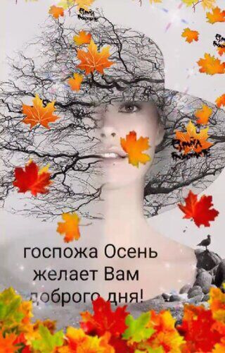 госпОжа Осень Зв желает Вам