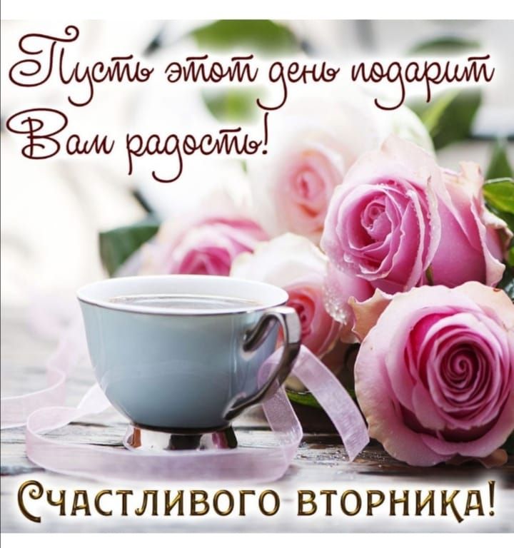 1 ёЧдСТЛИВОГО ВТОРНИКД