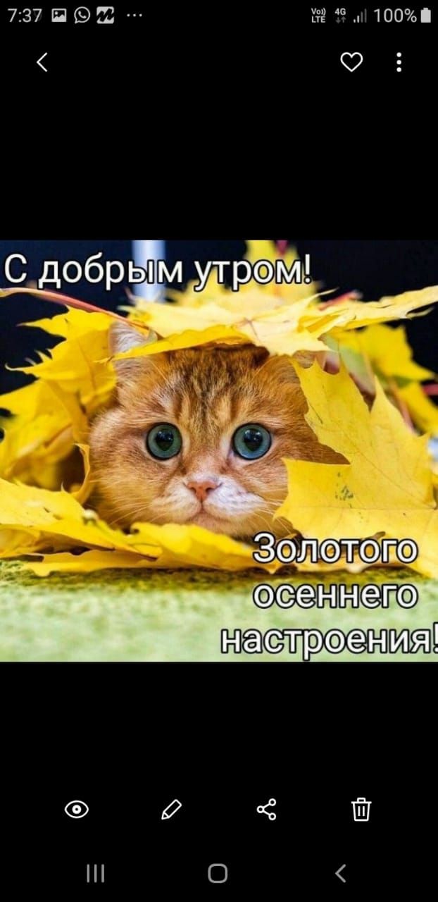 713712Ш 5м1003Ь О
