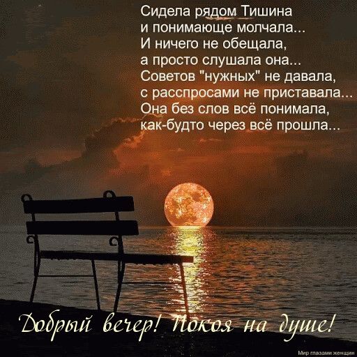 Сидела радоміишина и понимающе молчала И ничего не обещала