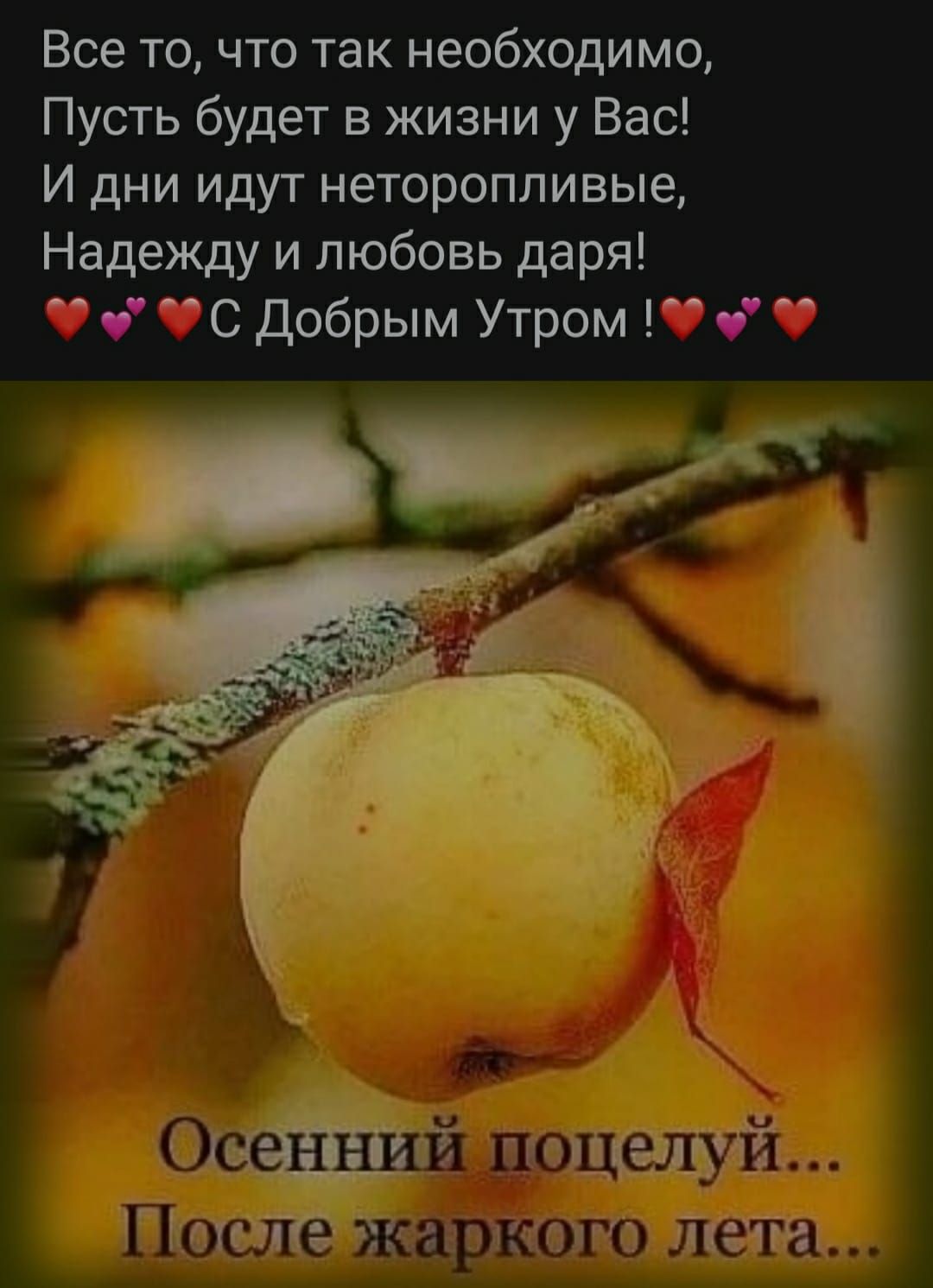 Все то что так необходимо Пусть будет в жизни у Вас И дни идут неторопливые Надежду и любовь даря ч С Добрым Утром ч Гётеэ тптотна пати
