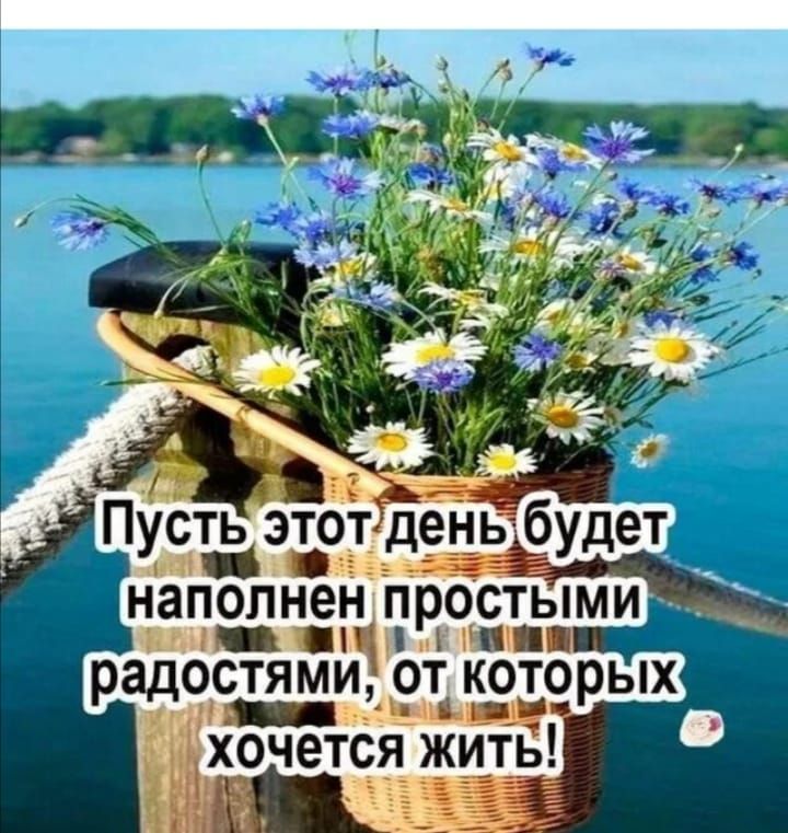 усъэъот деньёёудет наполнен простыми остяьЯй ЬткЬЁЗ ых рад _ ттр хочется жить і