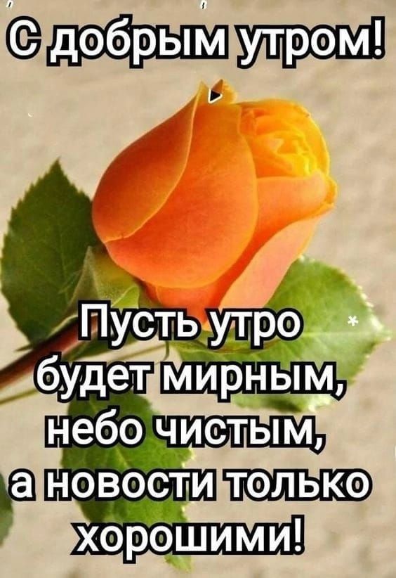 три небо чистым только