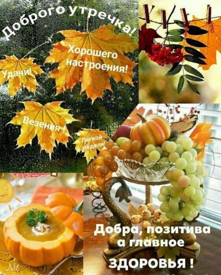 с нее 7 здоровря