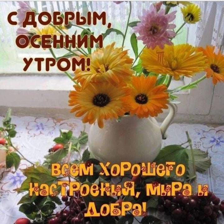 57 ХоРошвго 1 6МИР8_Ё г дддоърял