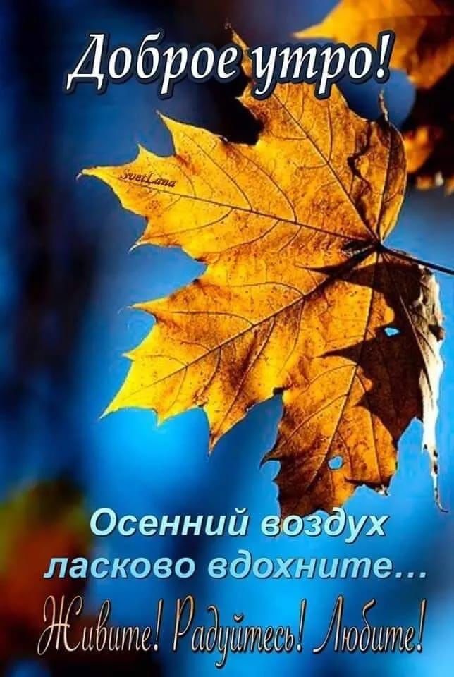 ДоброеХу Осенний воз ух Ёшсково вдохните ЖЦЁШПЁ ПиНПС ЮМ ЦНС