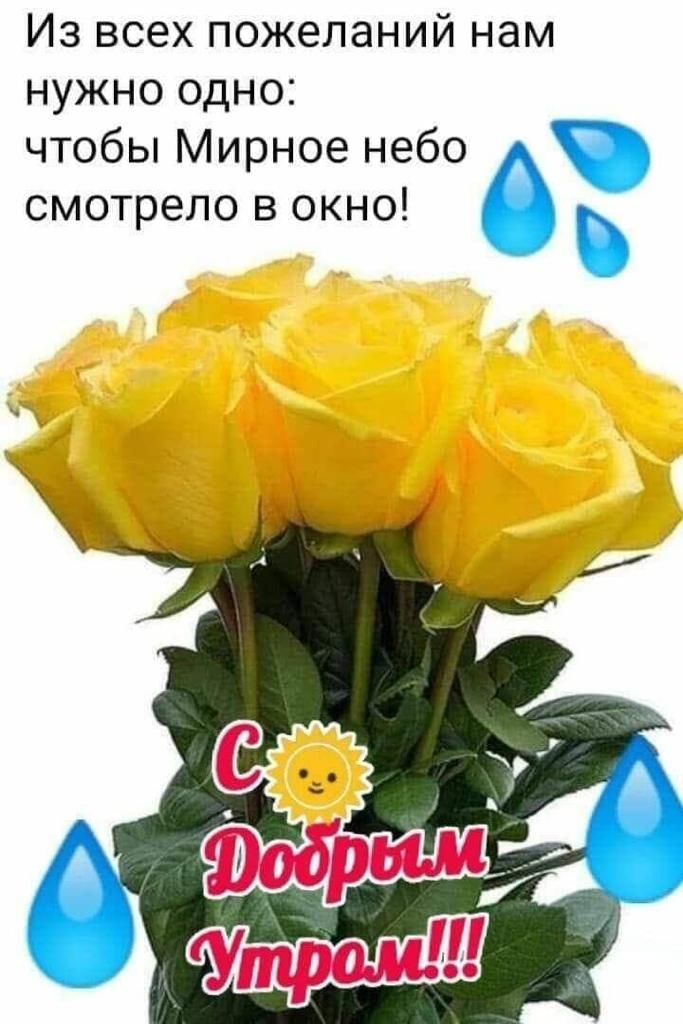 ИЗ всех ПОЖЭЛЭНИЙ НЭМ НУЖНО ОДНО чтобы Мирное небо смотрело в окно