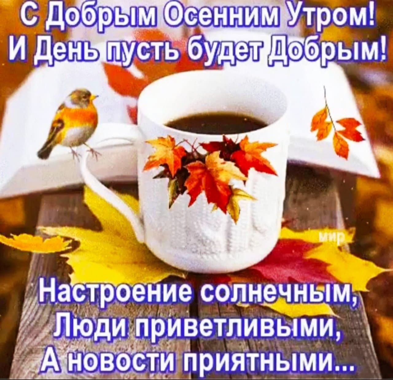 Фсенним Утром _И дёнь будетд обрым А новости приятными дпщ