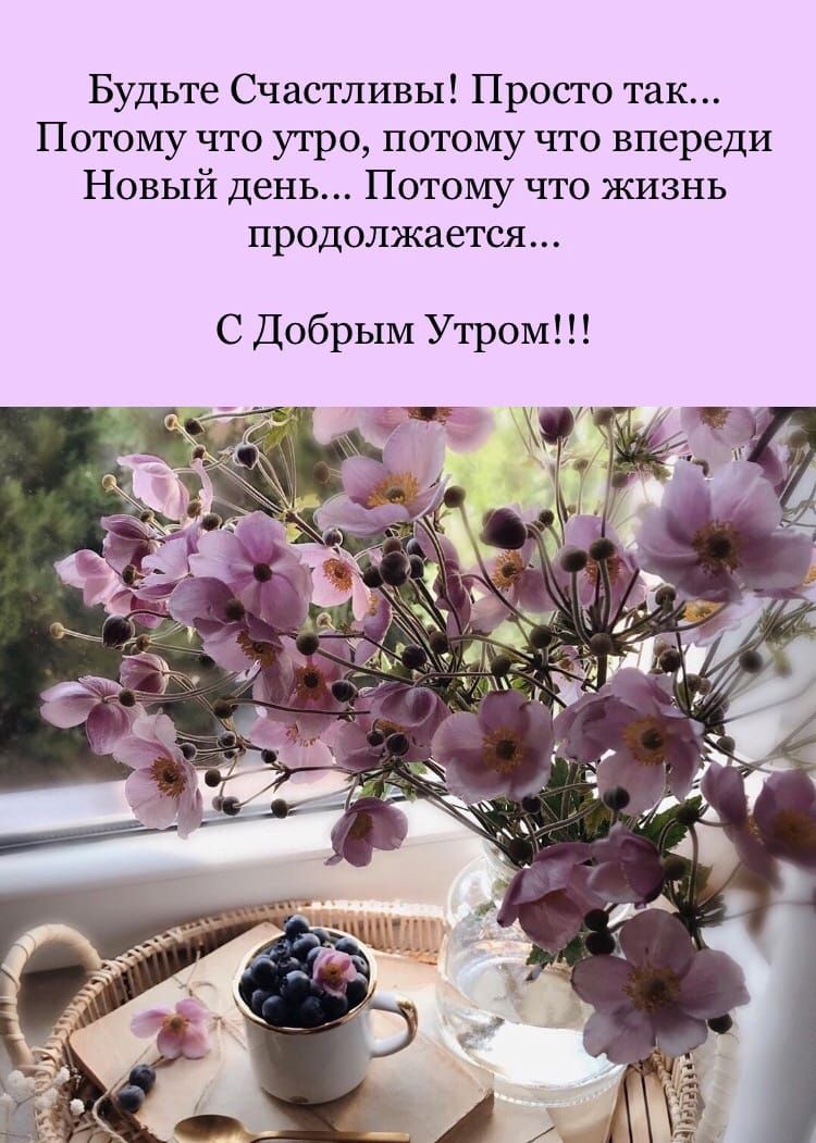 Будьте Счастливы Просто так Потому что утро потому что впереди Новый день Потому что жизнь продолжается С Добрым Утром