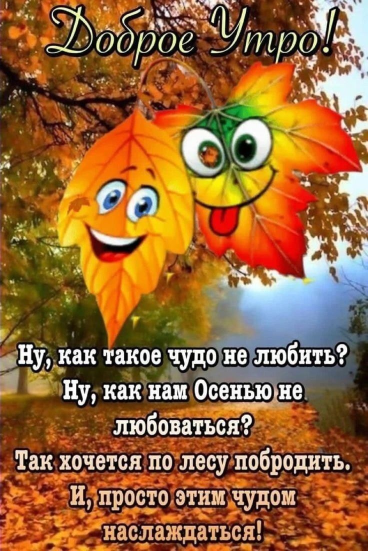 нудшк такое чудо ШЭ любить Ну как ноі Осенью не любоваться Так хочется по лесу побродить ипроотоэтнм чудом наслаждаться