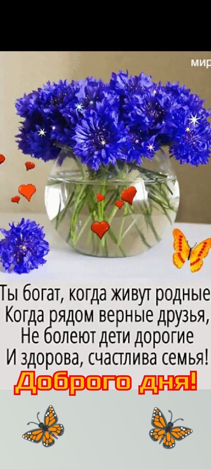Ты богат когда живут родные Когда Зэядом верные друзья олеют дети дорогие И здорова счастлива семья